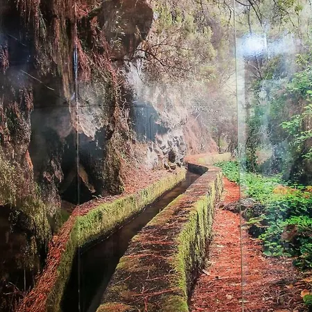 Casa Amelia Santa Cruz de la Palma (Isla de la Palma)